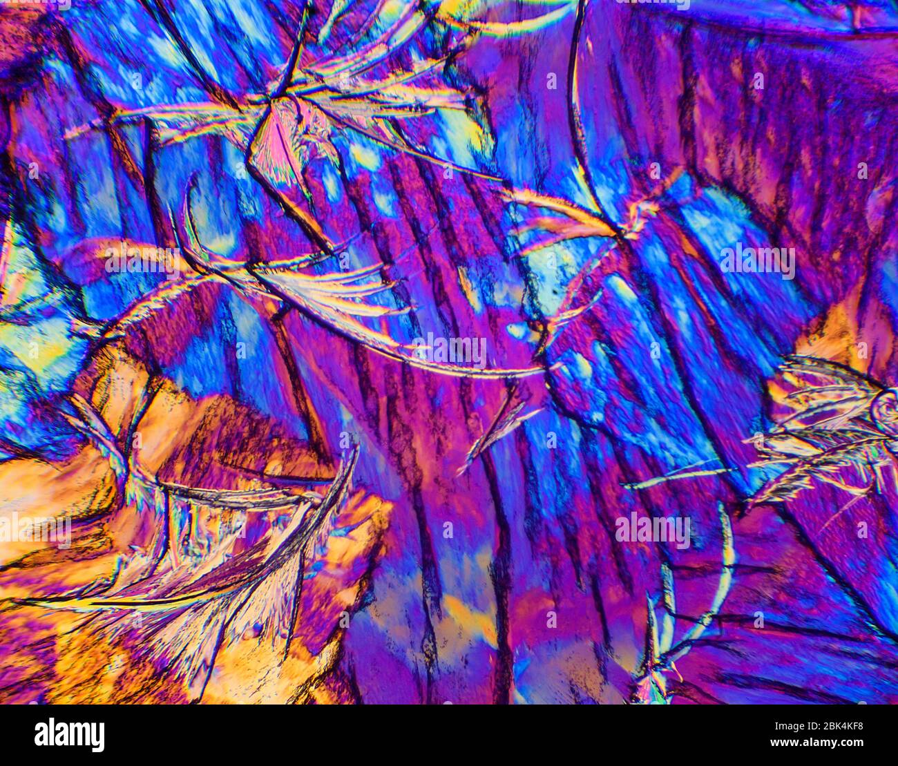 Candle Wax by polarised light micrsocopy Stock Photo Alamy