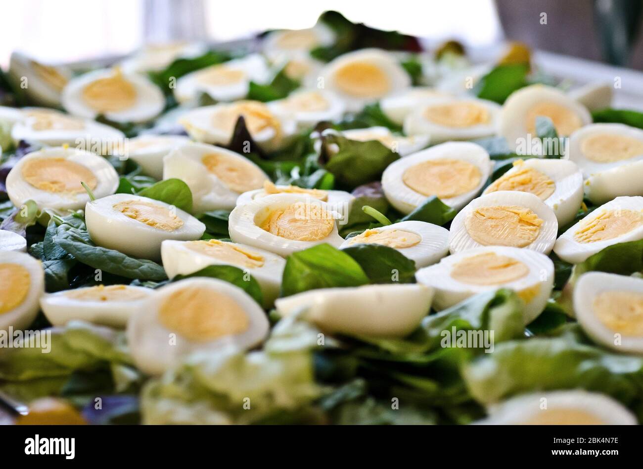 Hard boiled eggs and lettuce beautifully presented on a tray Stock Photo
