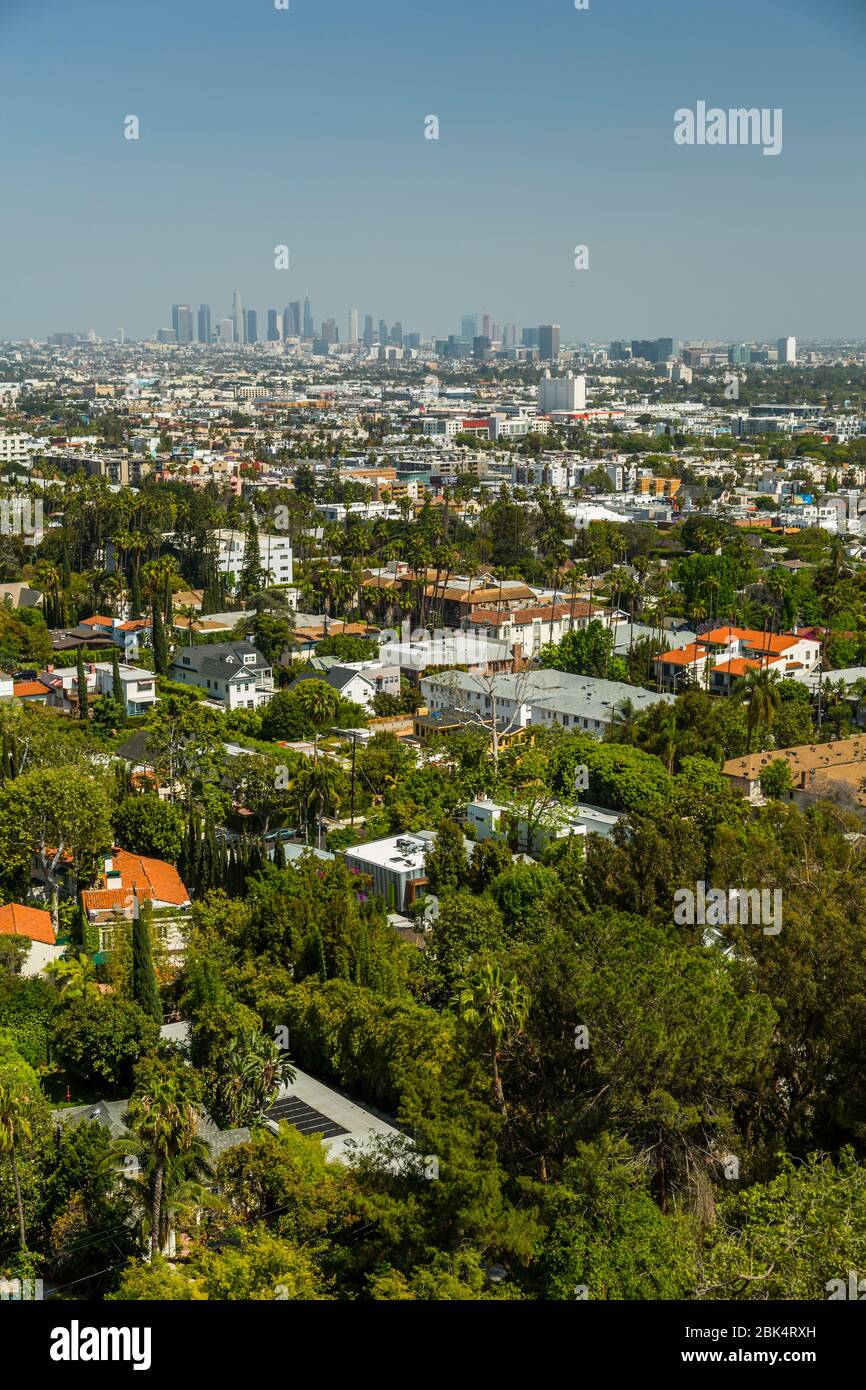 View of Downtown LA from Hollywood Hills, Los Angeles, California, United  States of America, North America Stock Photo - Alamy