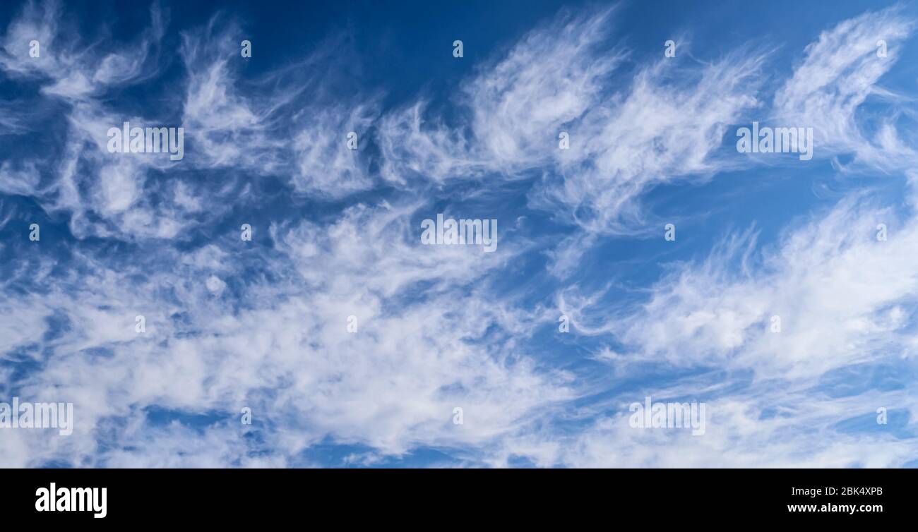 Stunning cirrus cloud formation panorama in a deep blue sky Stock Photo ...