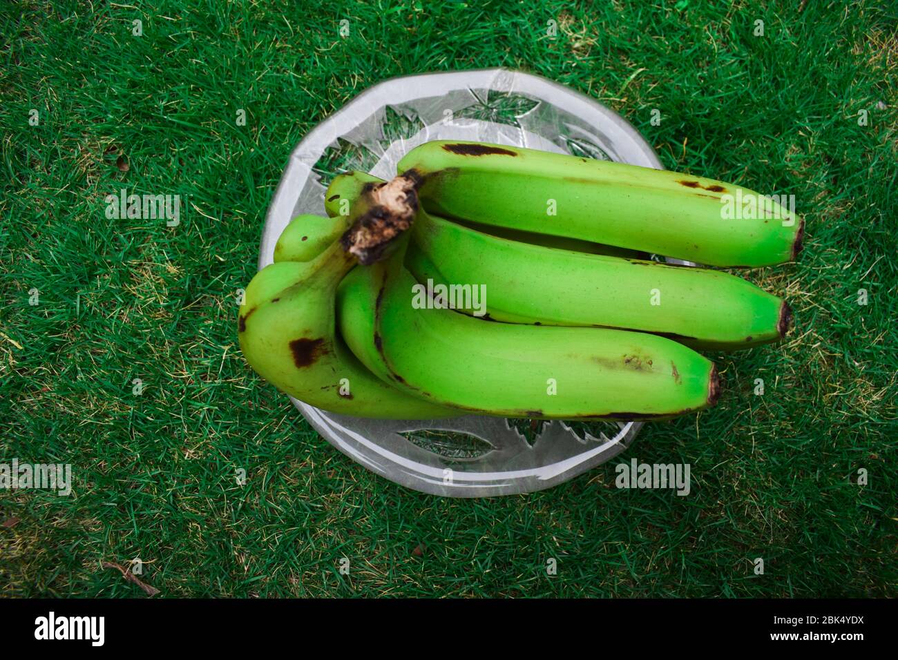 Musa Paradisiaca High Resolution Stock Photography And Images Alamy