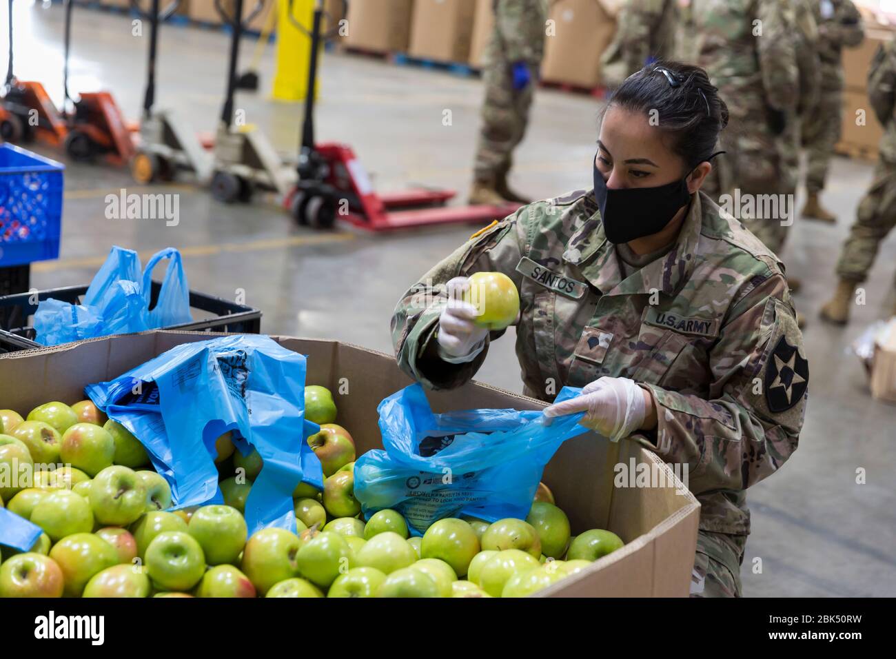 Richelle Santos, a member of the Washington Army National Guard, examines apples for distribution at the Food Lifeline Covid-19 Response Food Bank in Seattle on May 1, 2020. Food Lifeline, along with SSA Marine, Columbia Hospitality and Prologis, with assistance from the Washington Army and Air Force National Guard, created a supplemental 160,000 square-foot food bank in response to increasing food relief demand in the region amid the COVID-19 pandemic. Stock Photo