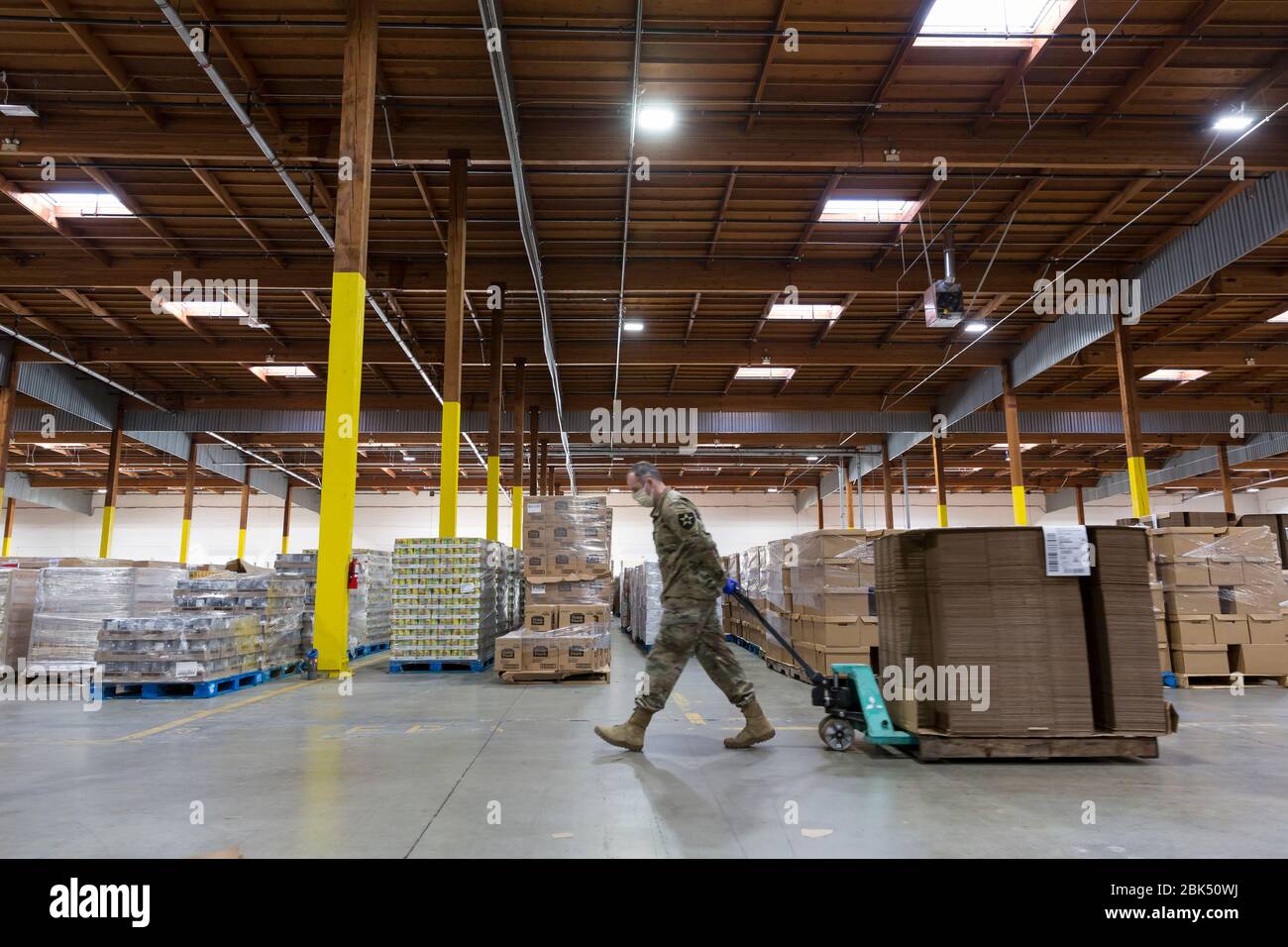 A member of the Washington Army National Guard moves a pallet of boxes at the Food Lifeline Covid-19 Response Food Bank in Seattle on May 1, 2020. Food Lifeline, along with SSA Marine, Columbia Hospitality and Prologis, with assistance from the Washington Army and Air Force National Guard, created a supplemental 160,000 square-foot food bank in response to increasing food relief demand in the region as well as a 70 percent drop in donations amid the COVID-19 pandemic. Stock Photo