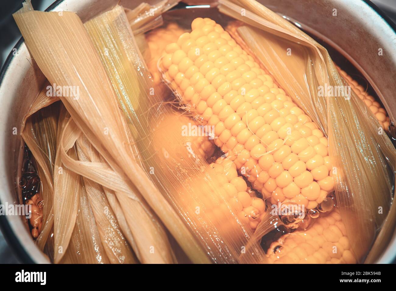 boiled corn on cobs in the pan Stock Photo