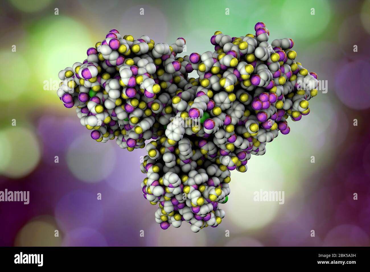 Molecular model of a coronavirus main protease (Mpro). Proteases are