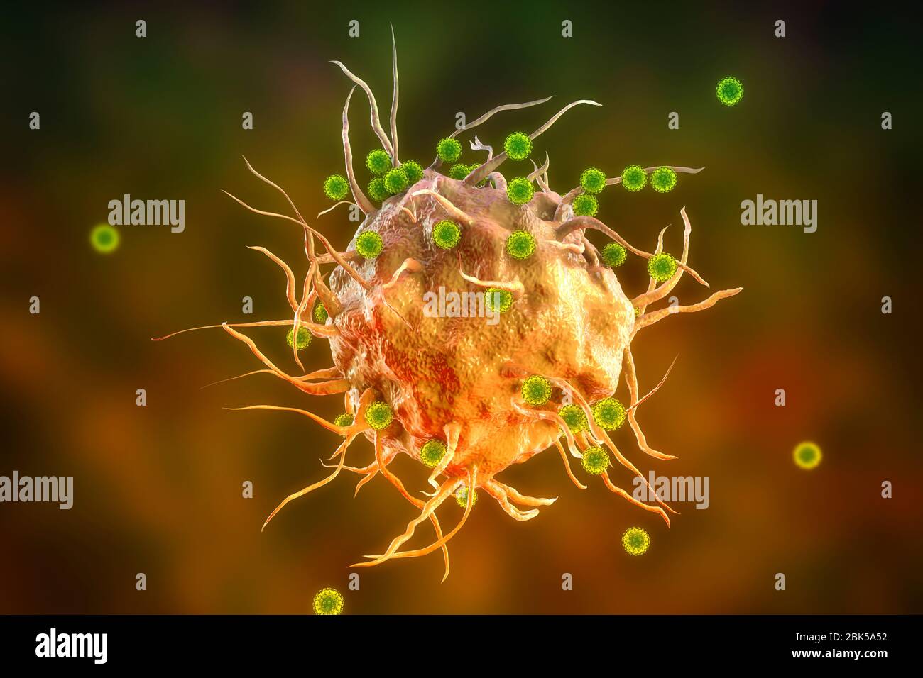 SARS-CoV-2 viruses and immune cell. Conceptual image illustrating antiviral immunity and vaccination. Stock Photo