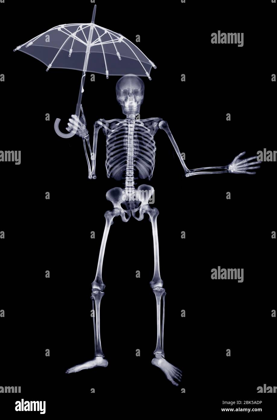 Skeleton holding an open umbrella above him, X-ray. Stock Photo
