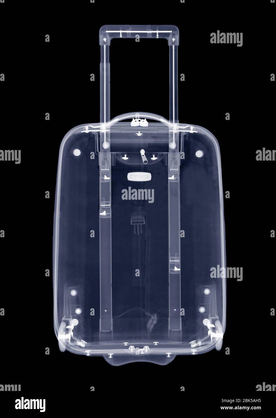 pull along suitcase