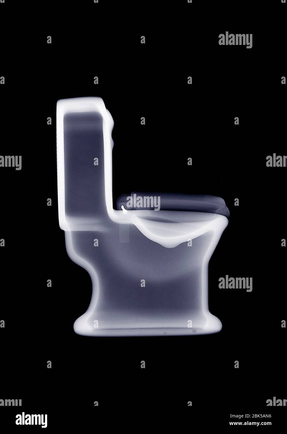 Porcelain toilet hi-res stock photography and images - Alamy