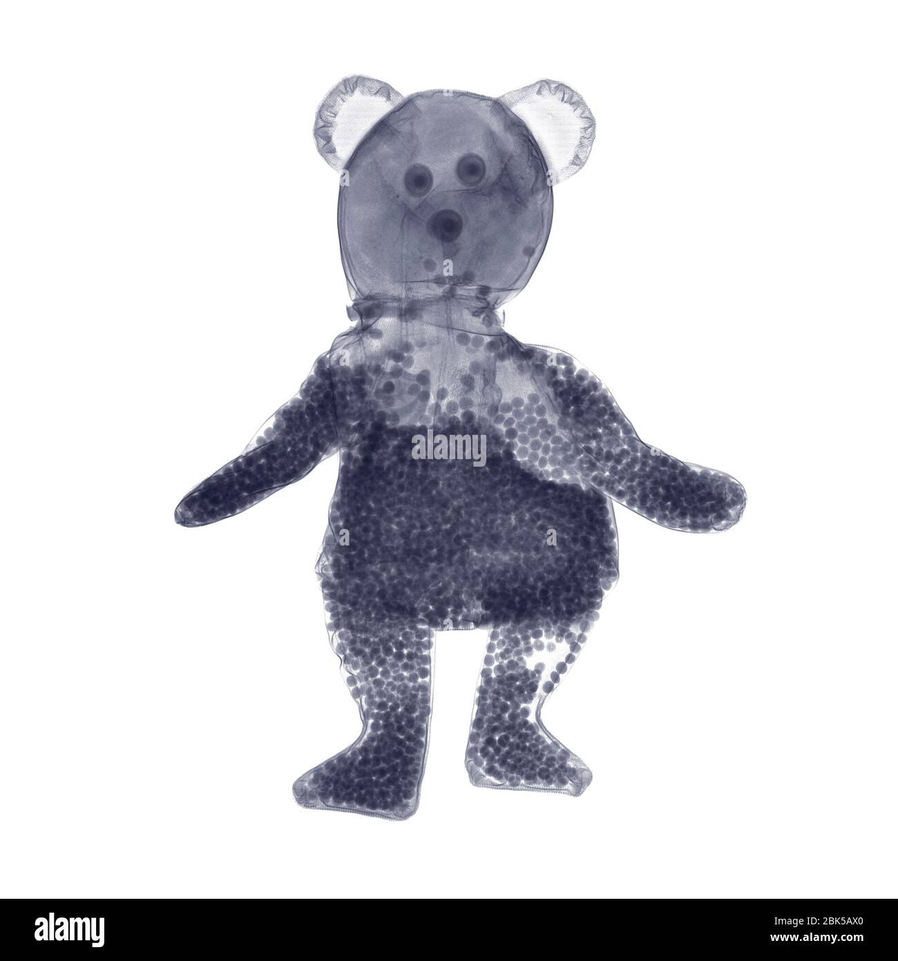 Beanie teddy bear, X-ray. Stock Photo
