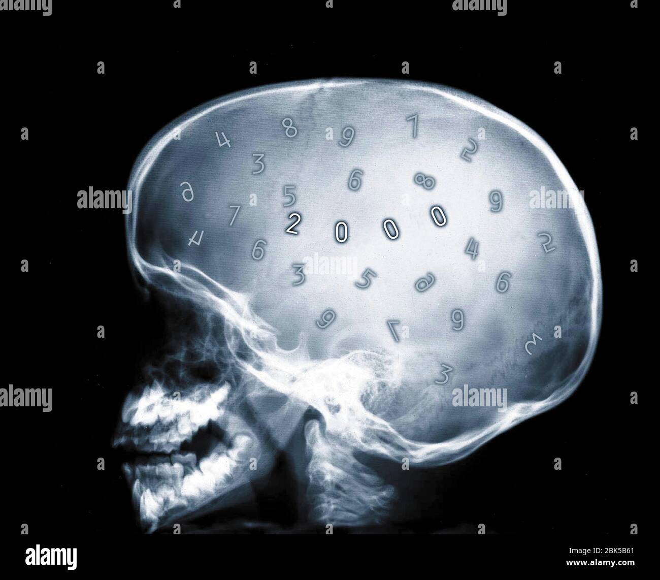 Human skull and numbers, X-ray. Stock Photo