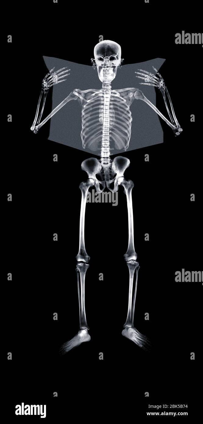 Human skeleton reading newspaper, X-ray. Stock Photo