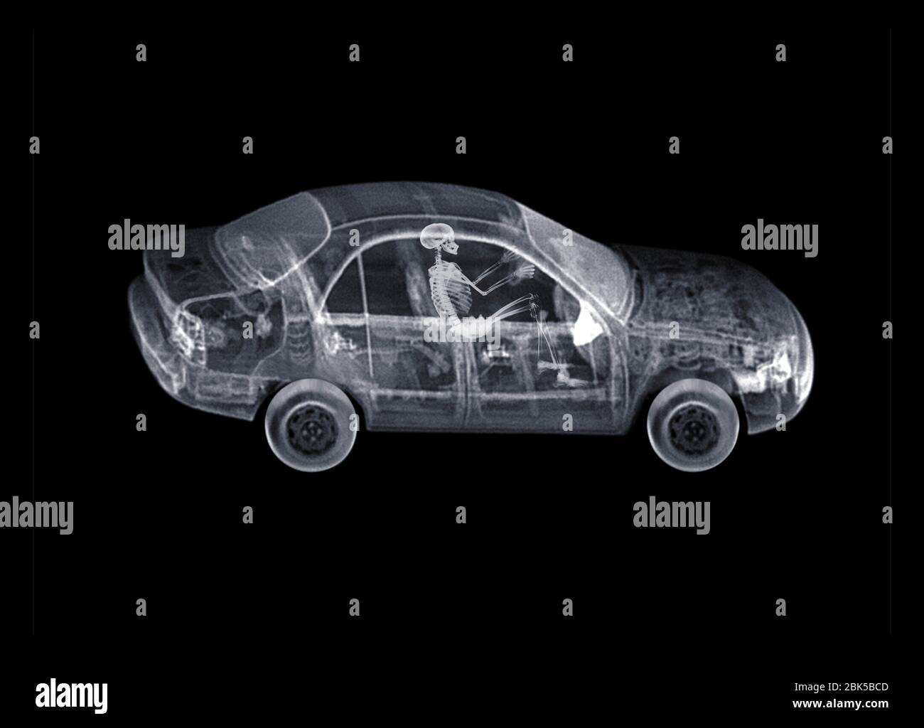 Skeleton driving car, X-ray. Stock Photo
