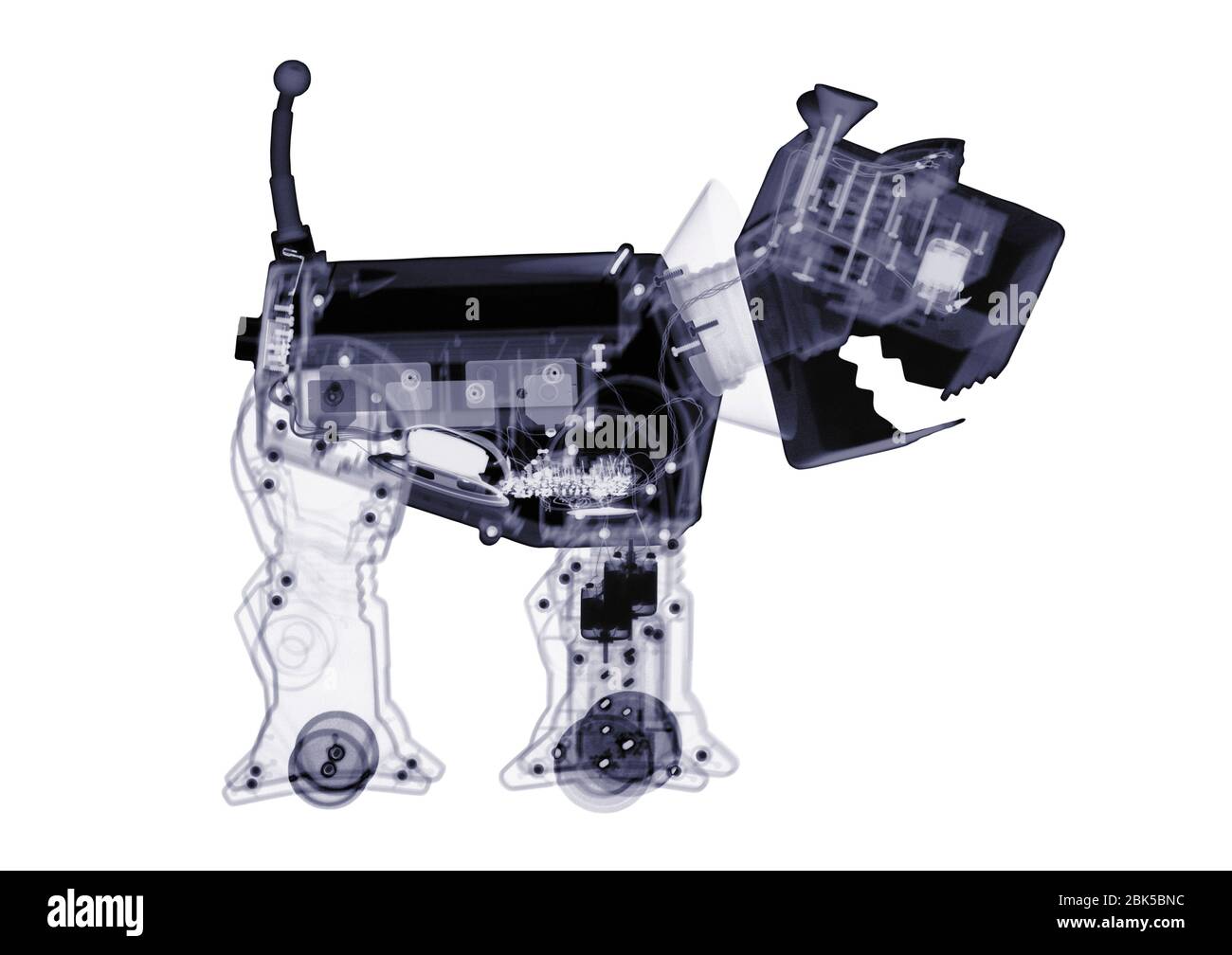 Electronic toy dog, X-ray. Stock Photo