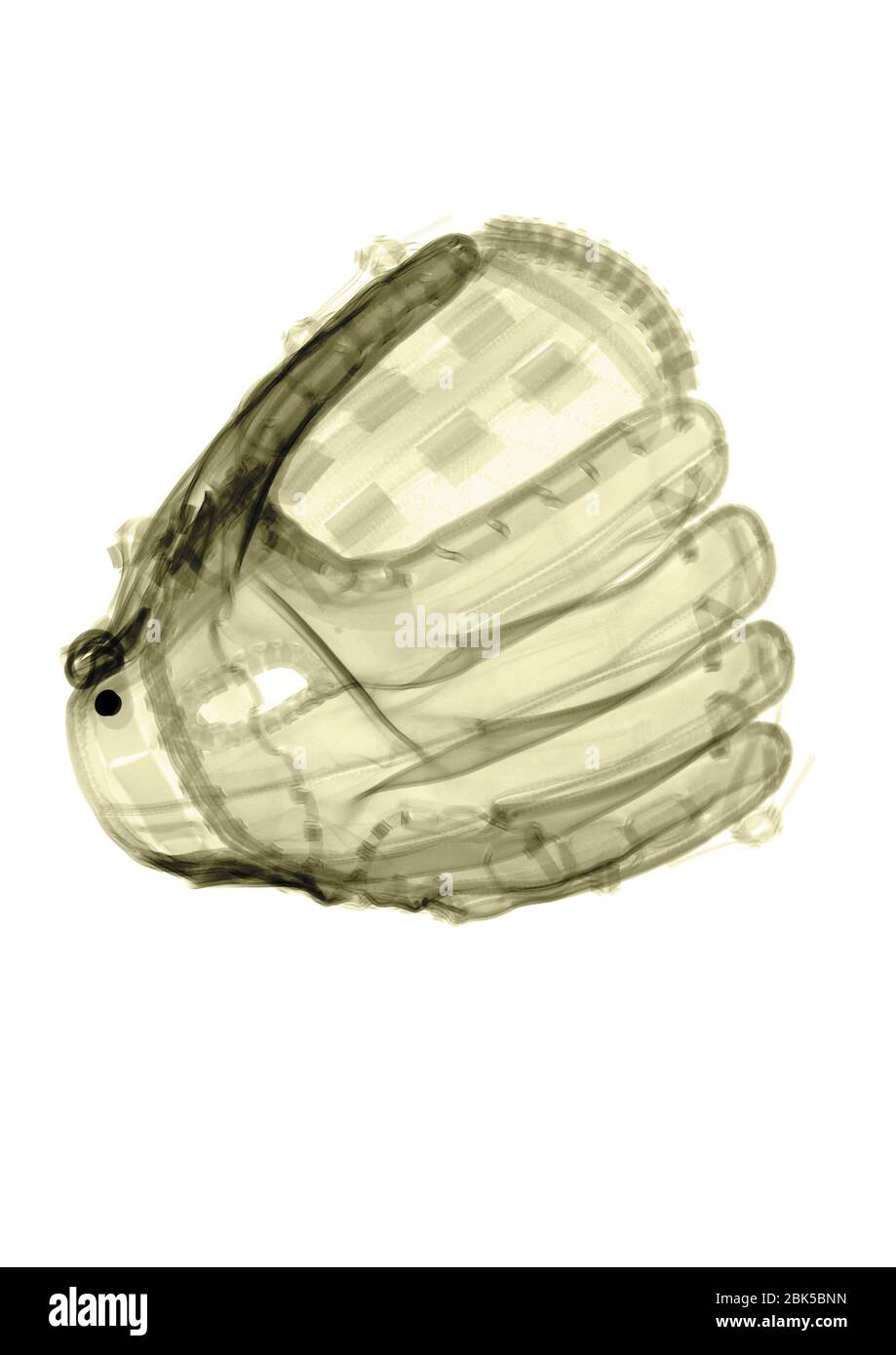 Baseball glove, coloured X-ray. Stock Photo