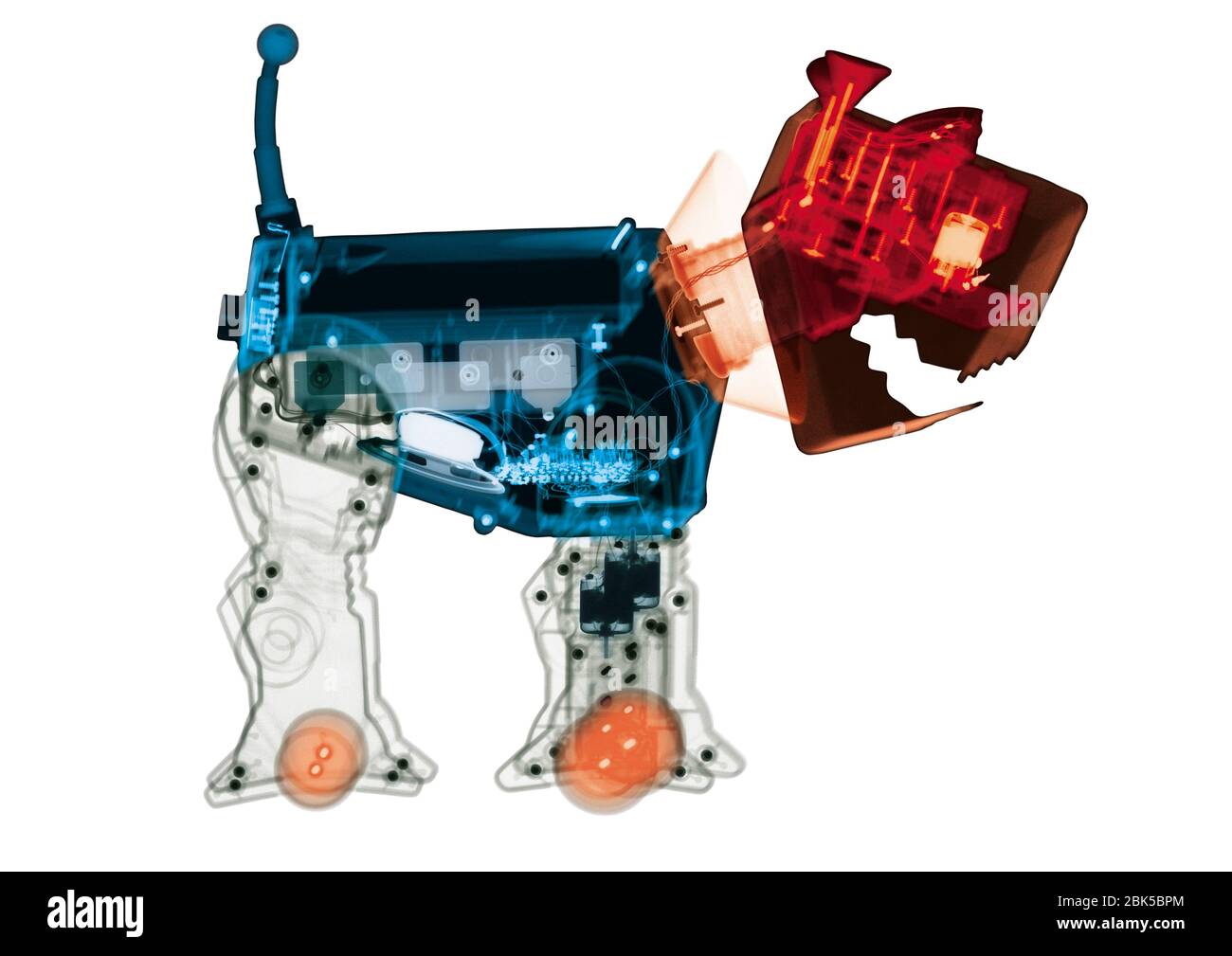 Electronic toy dog, coloured X-ray. Stock Photo