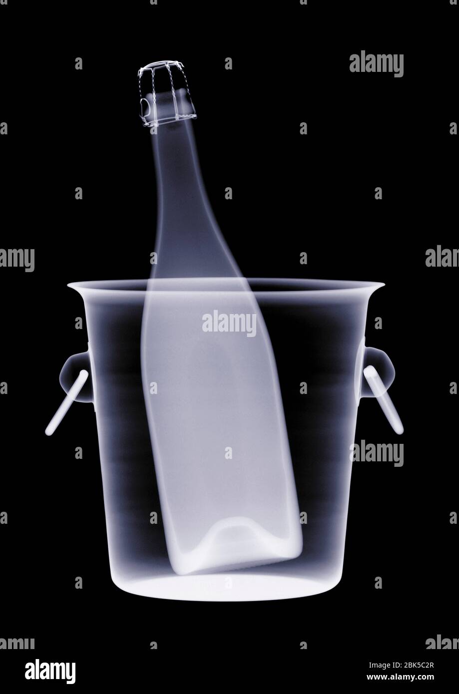 Bottle of champagne and ice bucket, X-ray. Stock Photo