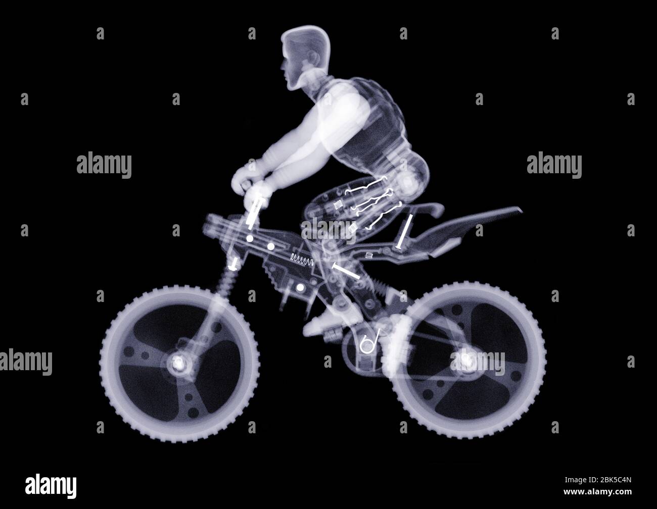 Toy model riding a mountain bike, X-ray. Stock Photo