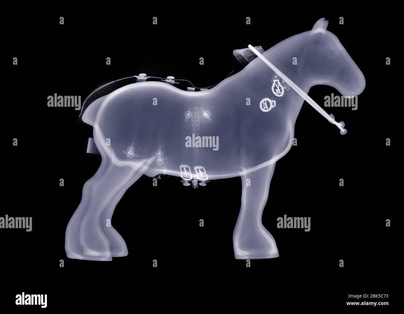 Toy shire horse, X-ray. Stock Photo