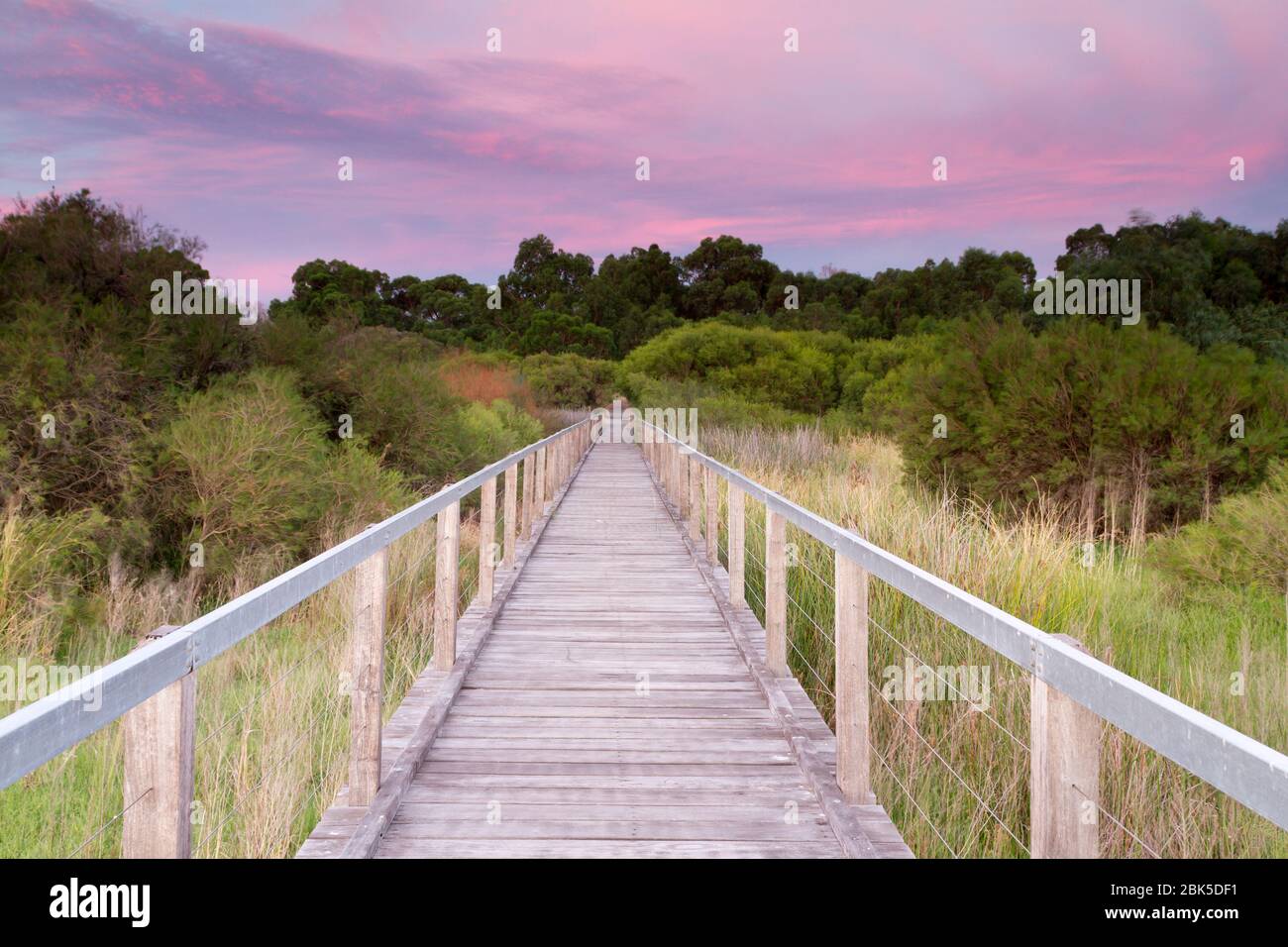 A wooden walkway through native bush in Western Australia at sunrise Stock Photo