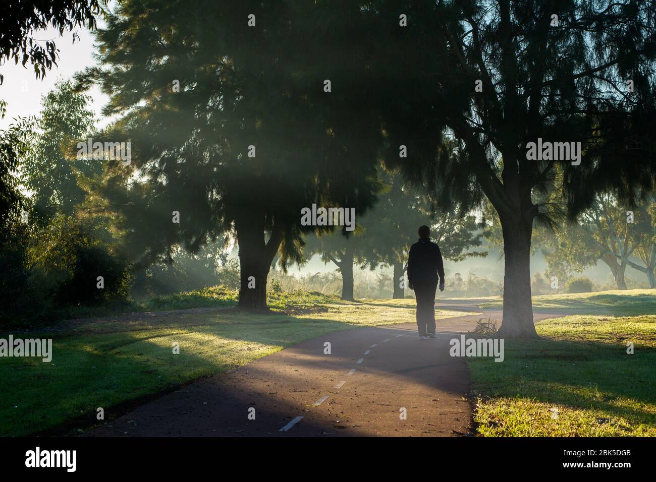 Person walking on a path through the park in fog Stock Photo