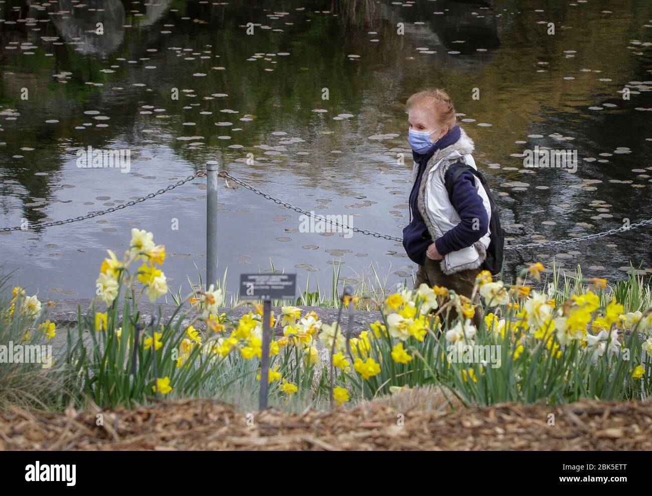 Vancouver, Canada. 1st May, 2020. A woman wearing a face mask visits the reopened VanDusen Botanical Garden in Vancouver, Canada, on May 1, 2020. Vancouver started on Friday to gradually reopen public recreation facilities with safety measures amid COVID-9 pandemic. Credit: Liang Sen/Xinhua/Alamy Live News Stock Photo