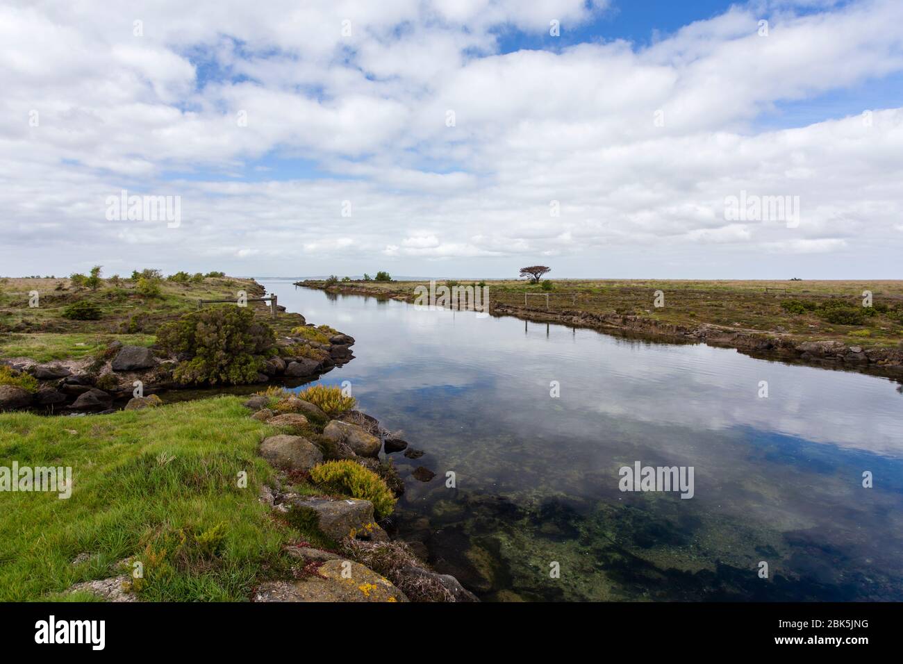 A saltmarsh at South Australia with a high diversity of marsh plants Stock Photo
