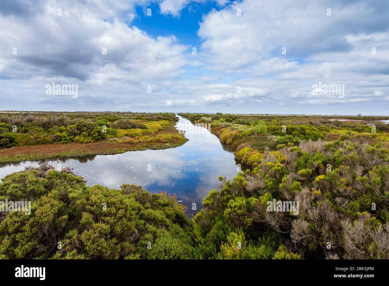 A saltmarsh at South Australia with a high diversity of marsh plants Stock Photo