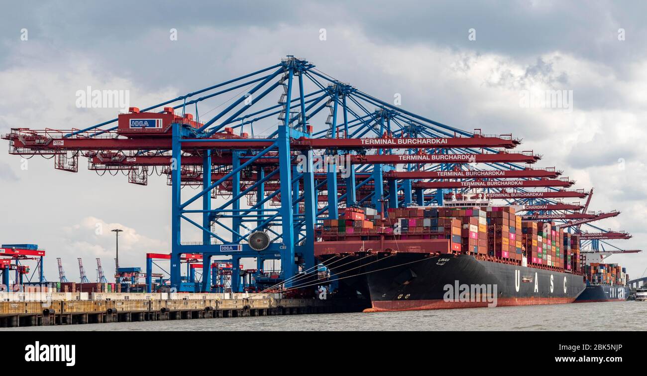 Container vessels at Burchardkai for unloading, harbour cranes, Port of Hamburg, Hamburg, Germany Stock Photo