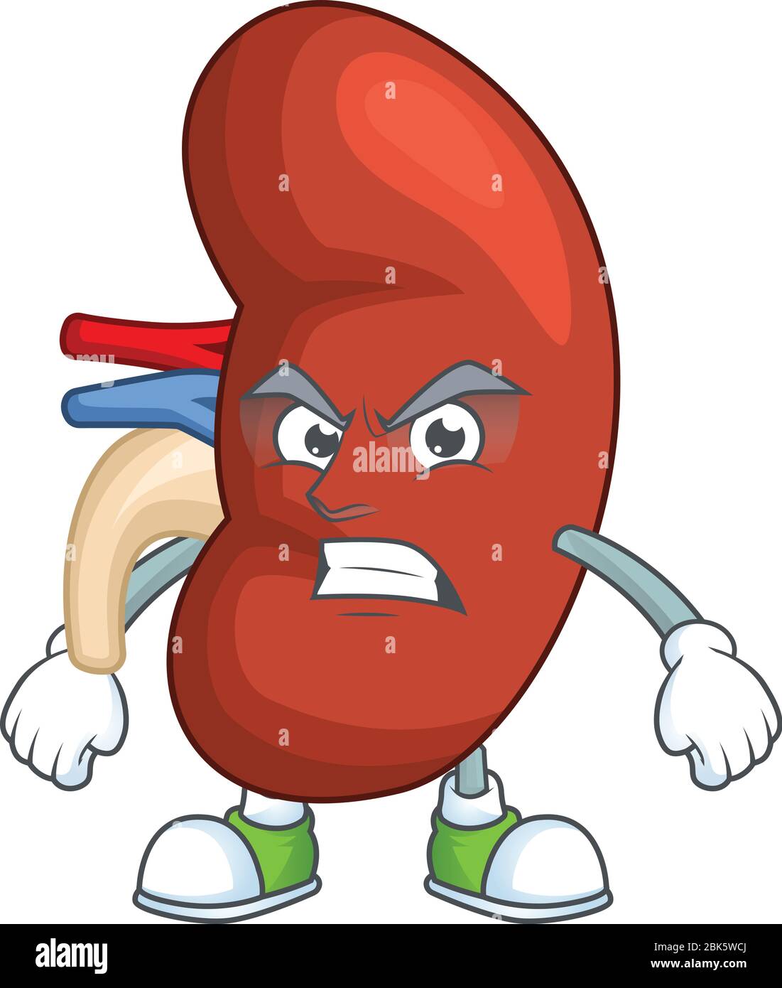 Mascot design style of right human kidney with angry face Stock Vector