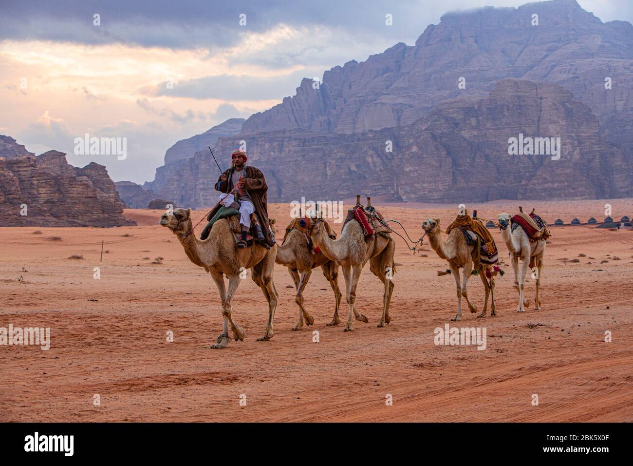 Bedouins in camel train at the Wadi Rum desert, Jordan Stock Photo