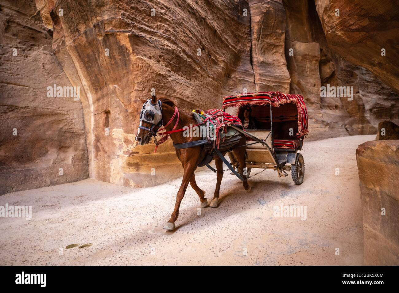 Horse drawn carriages in Siq Slot Canyon at the City of Petra, Jordan Stock Photo