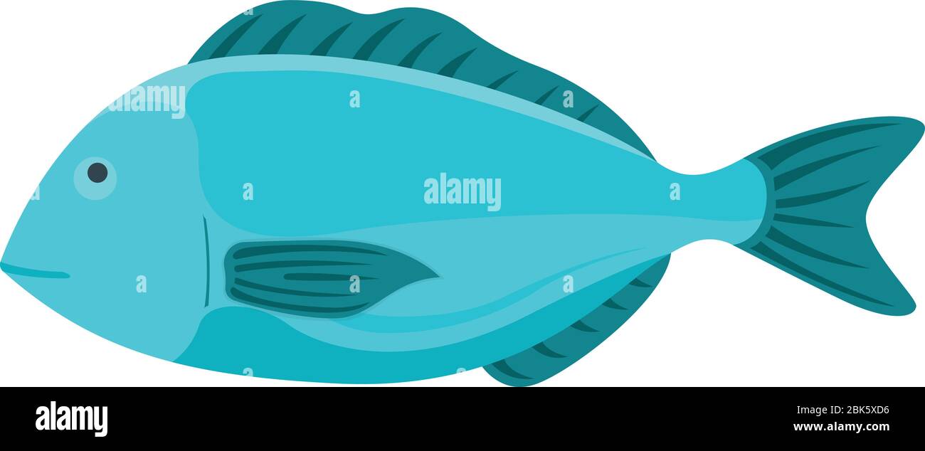 Fresh fish, cartoon style flat vector illustration dorada. Concept minnow seafood. Sea product for sushi, omega 3 foodstuff. Healthy meal stuff, ocean Stock Vector Image & Art - Alamy Fresh fish, cartoon style flat vector illustration dorada. Concept minnow seafood. Sea product for sushi, omega 3 foodstuff. Healthy meal stuff, ocean Stock Vector Image & Art - Alamy