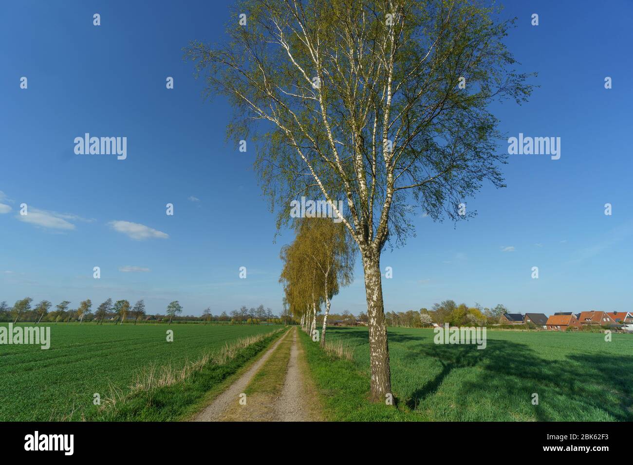 Springtime Westfall spring time in westphalia Stock Photo - Alamy