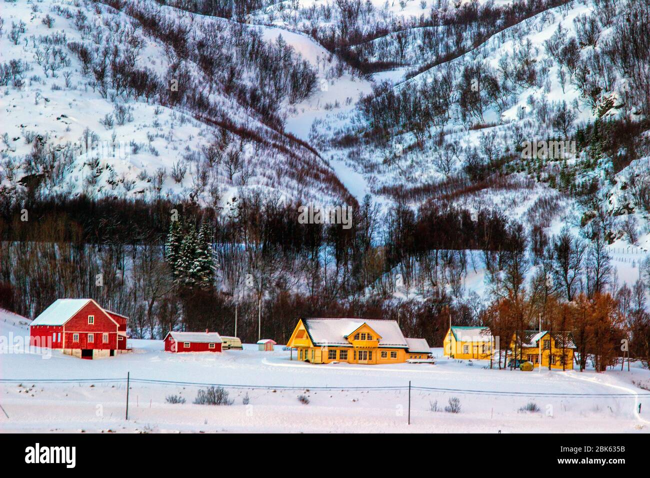 alesund norway,homes in norway,norvegian cruise port,norvegian cruise