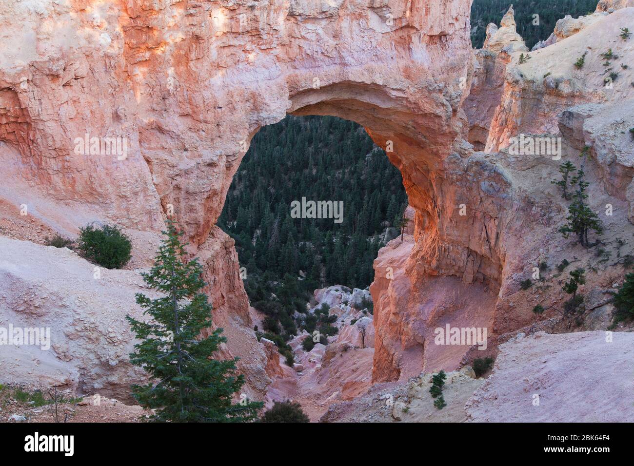 Natural Bridge Arch in Bryce Canyon, Utah, United States. Stock Photo