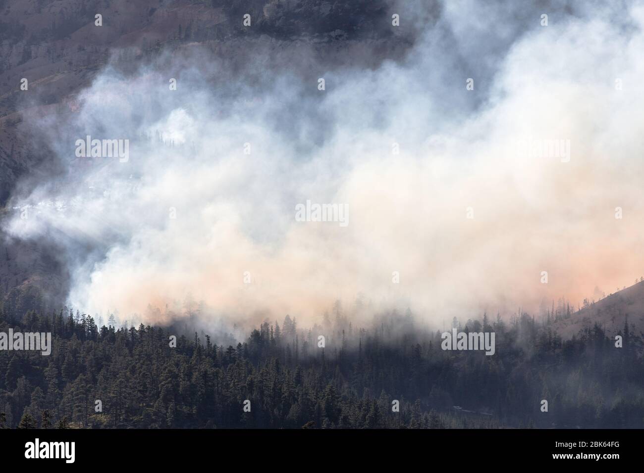 Forest Fire on September 1, 2019 near Bryce Canyon, Utah, United States. Stock Photo
