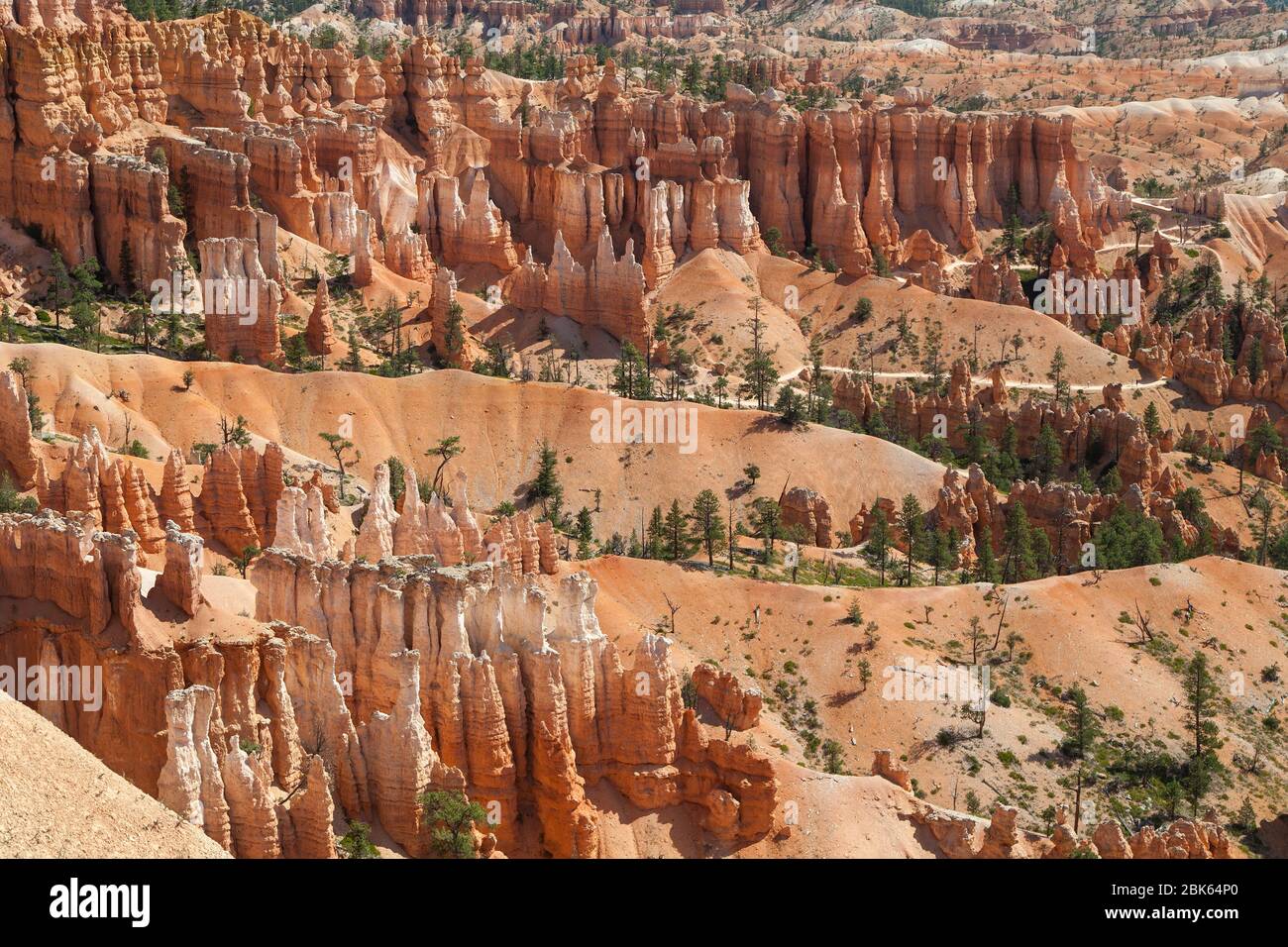Queen's Garden at Bryce Canyon National Park, Utah, United States. Stock Photo