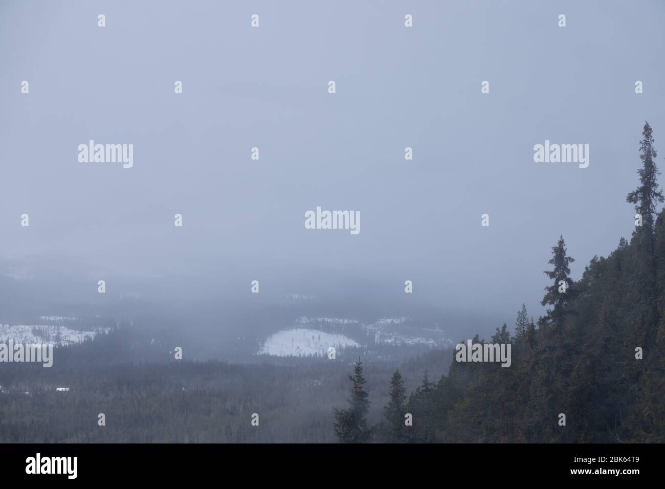 Landscape with foggy mountain. Copy space for text or product display. Stock Photo