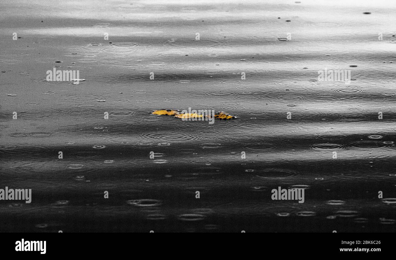 rain droplets on water surface Stock Photo