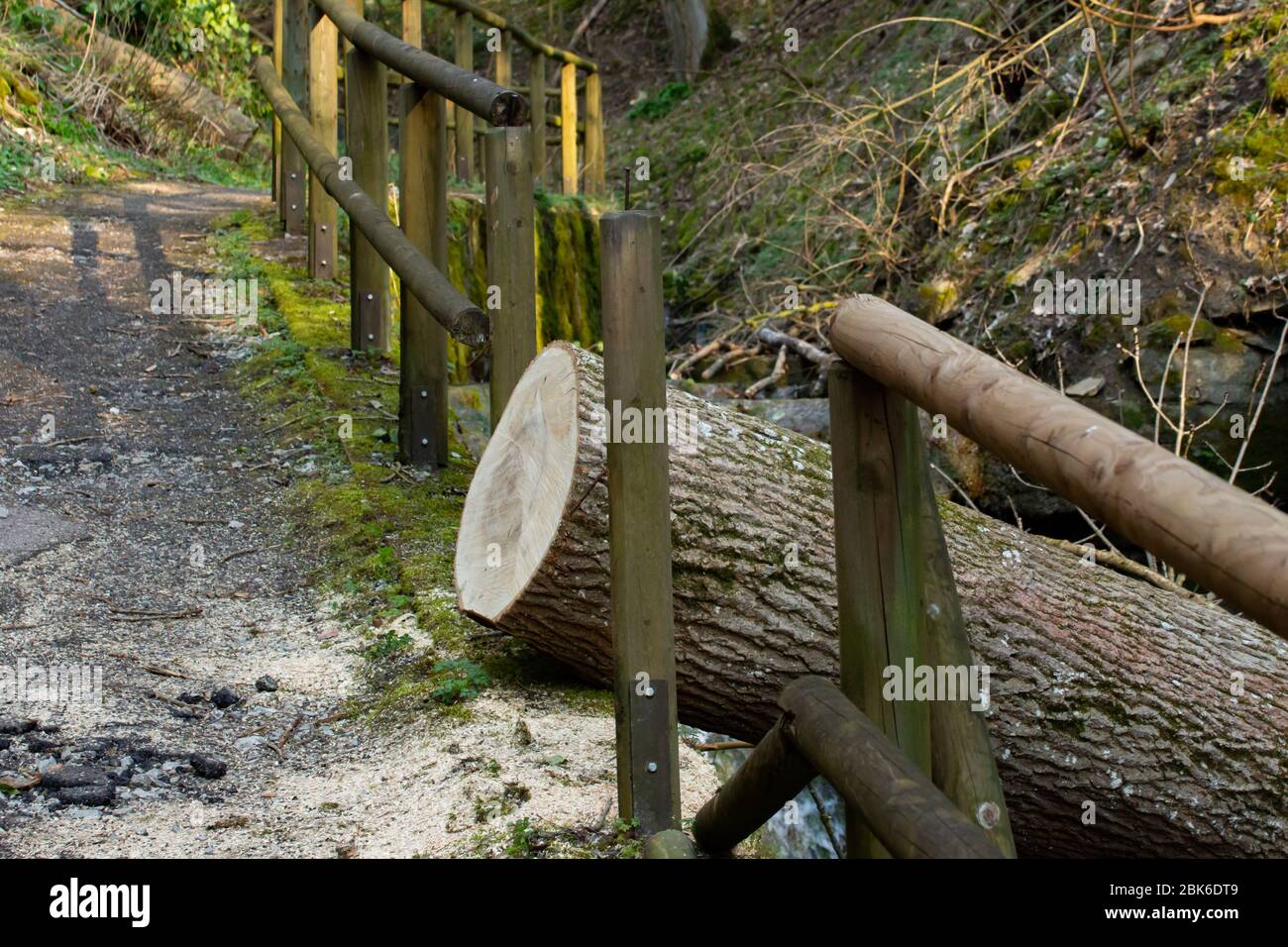 Tree trunk that fell on a wooden railing during a storm cut to pieces ...