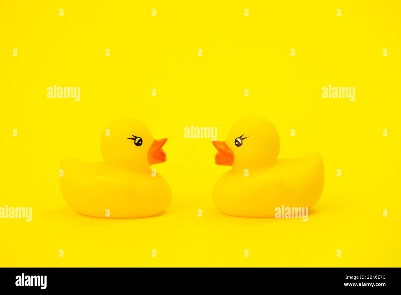 Two rubber ducks in opposite direction. concept of political confrontation Stock Photo