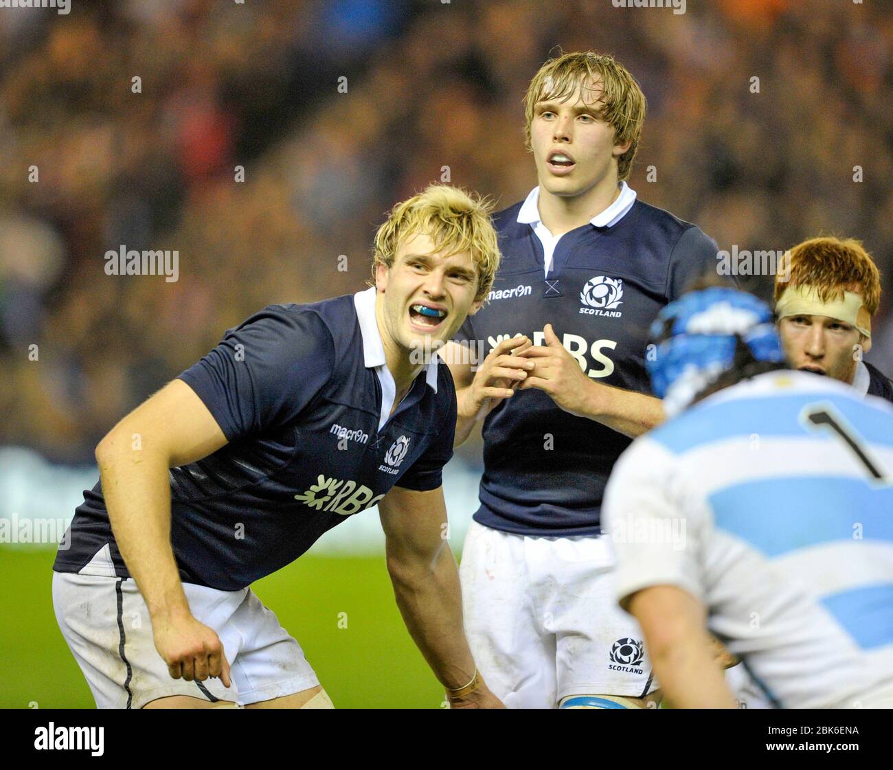 Scotland rugby line out hi-res stock photography and images - Alamy