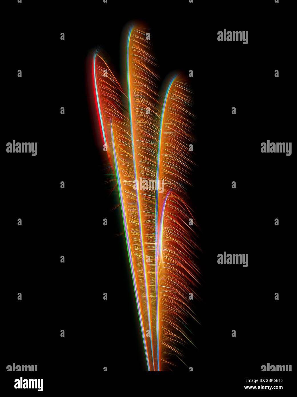 Featherlike fireworks against black background Stock Photo