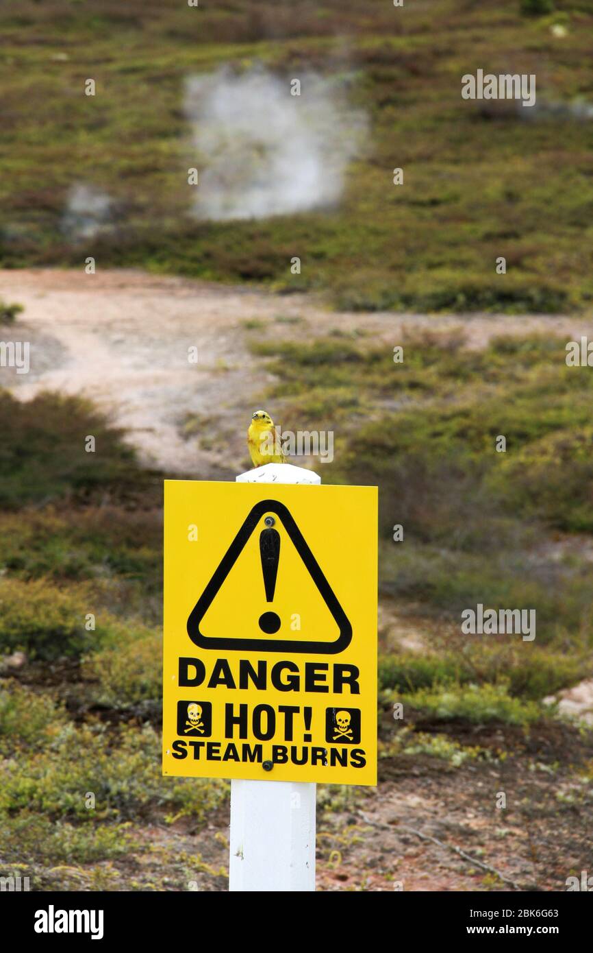 Warning sign with a bird at volcanic hot spot Stock Photo
