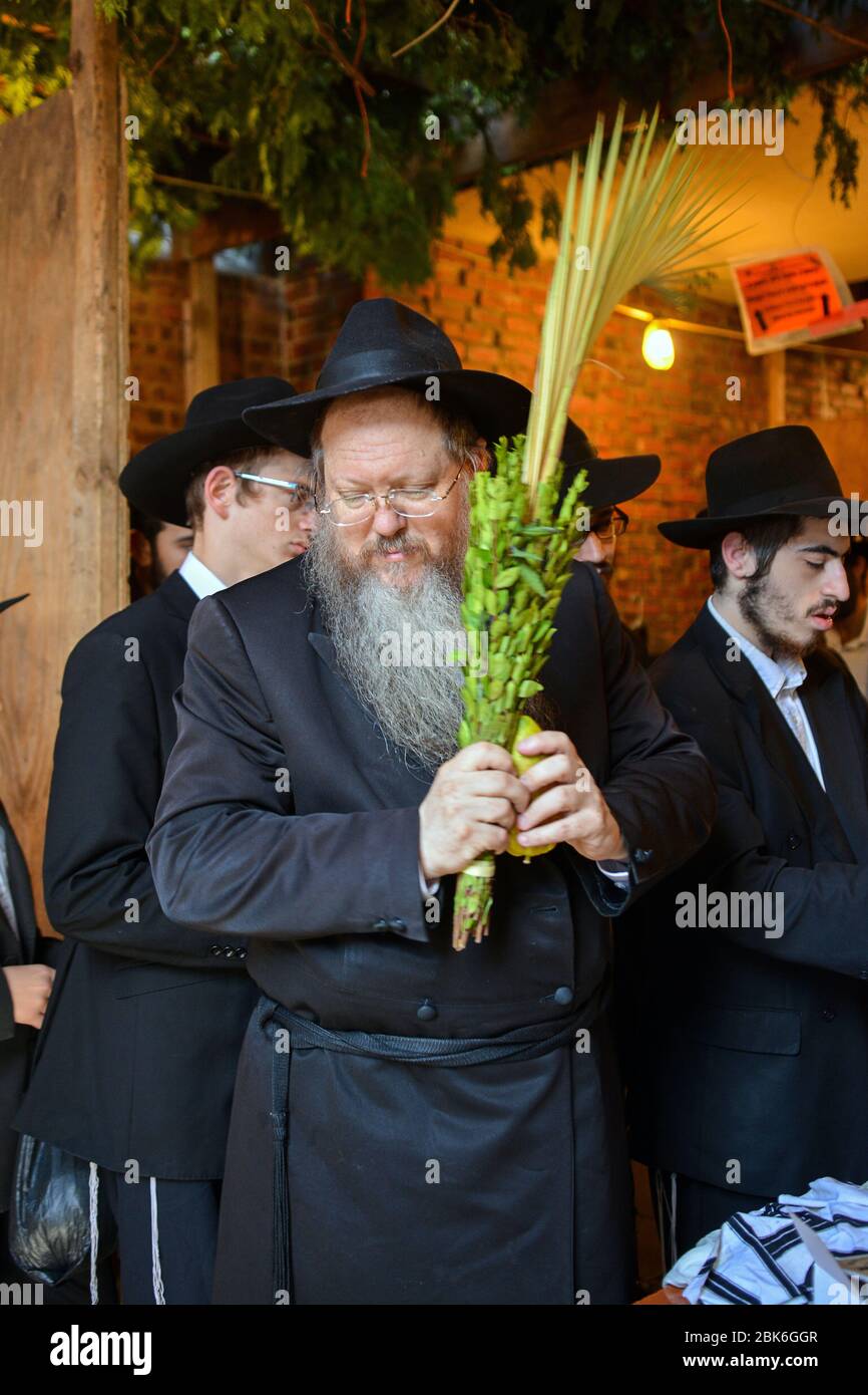 An orthodox Jewish rabbi blesses the esrog & lulav on Sukkot in a large Sukkah in Brooklyn, New York Stock Photo - Alamy