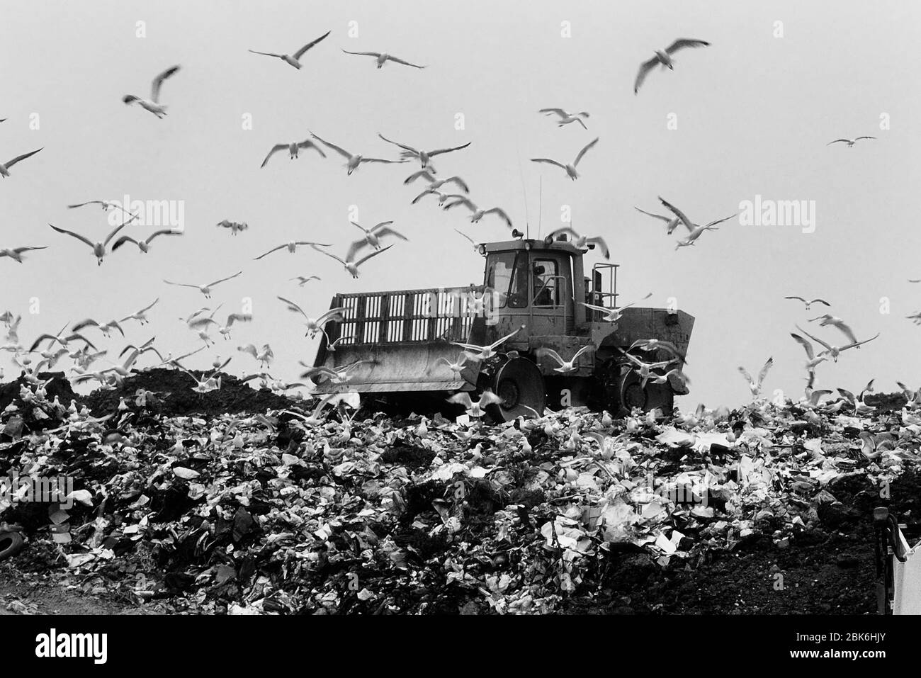 Landfill waste disposal site. UK Stock Photo