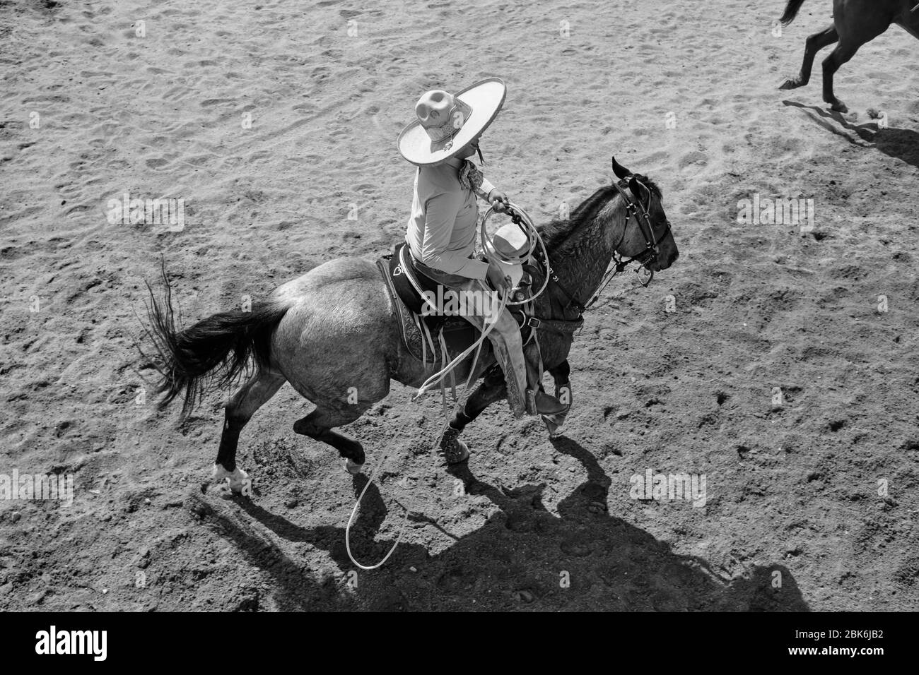 Mexican cowboy showing his skills as a horse rider during a 