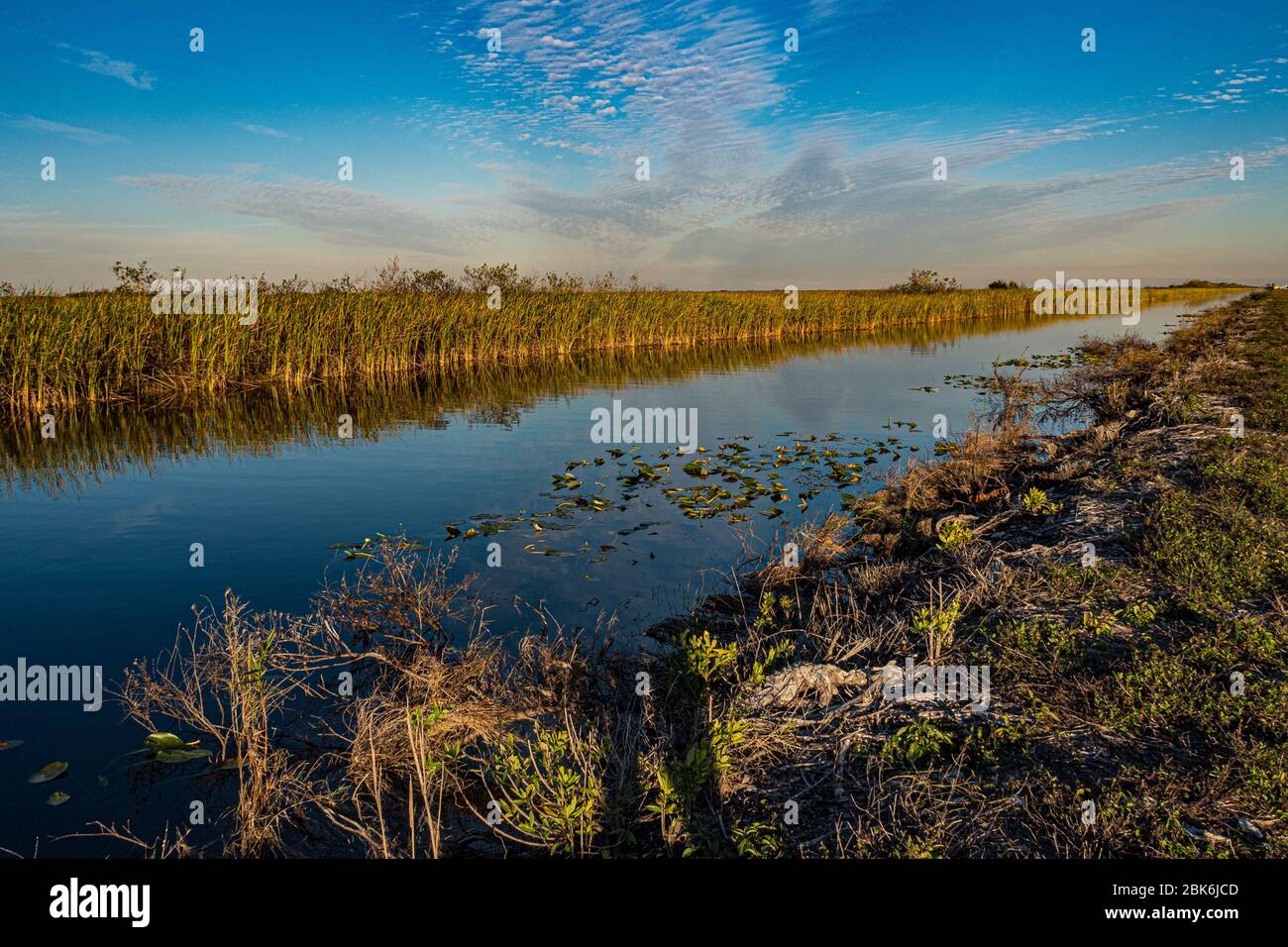 A channel through the swamps of the Everglades National Park in the sunset Stock Photo