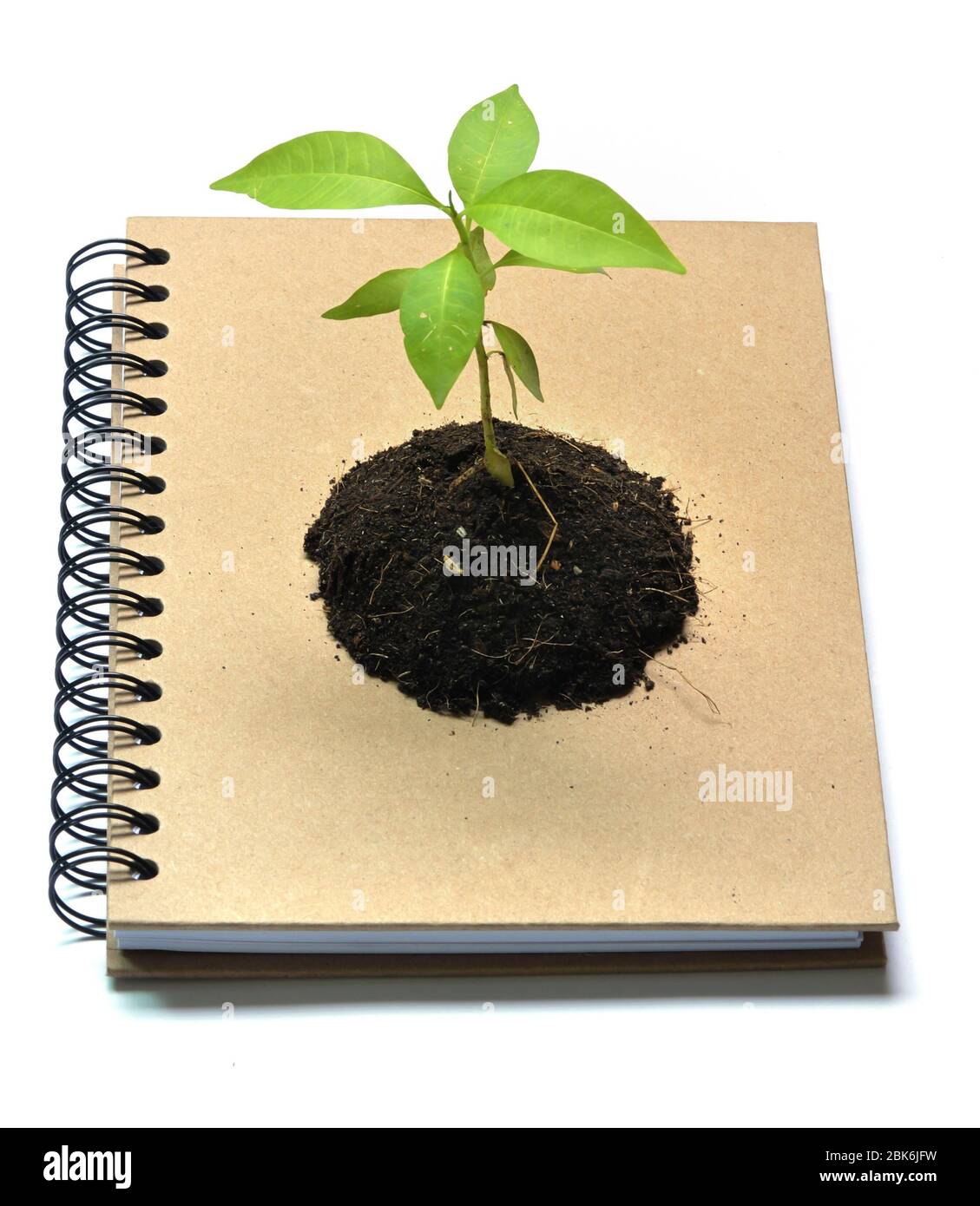 Concept picture of recycle notebook for save environment Stock Photo